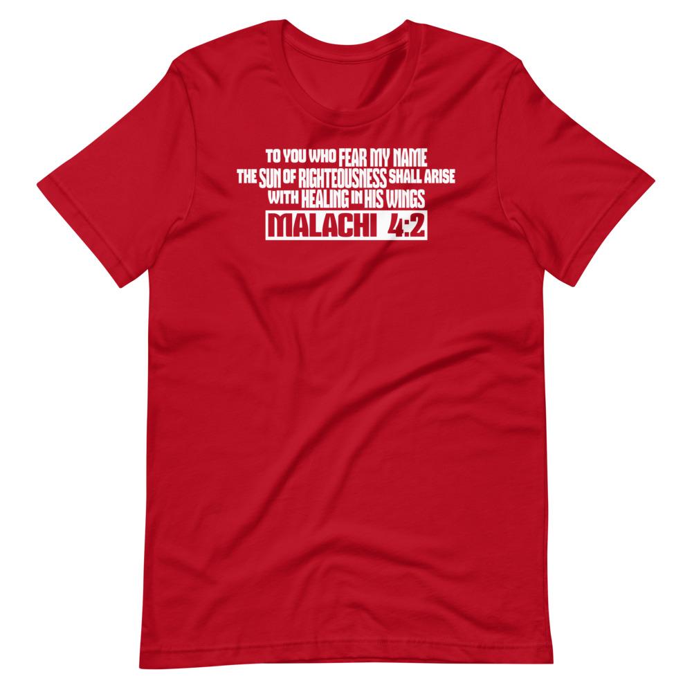 Healing Wings Tee - Truthberry