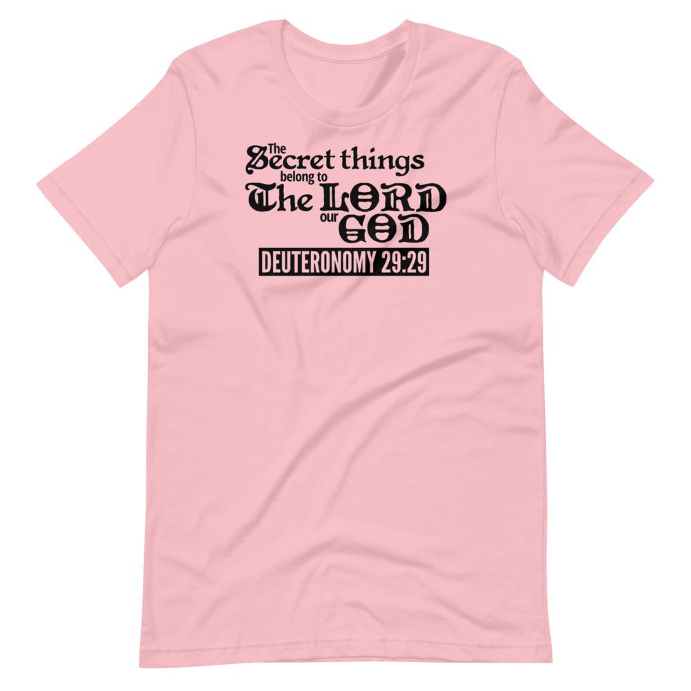 Secret Things Tee - Truthberry