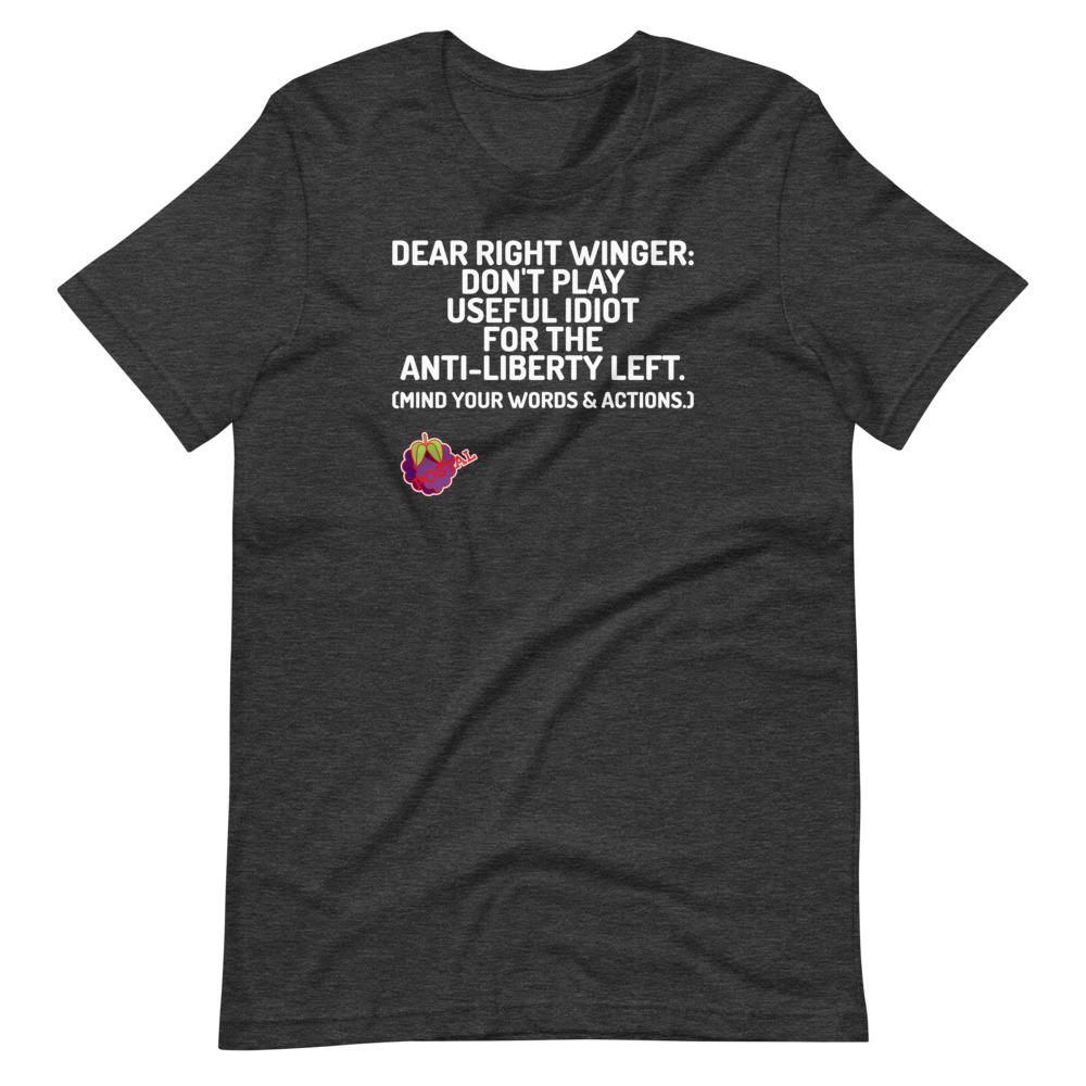 POSTAL: Dear Right Winger Tee - Truthberry