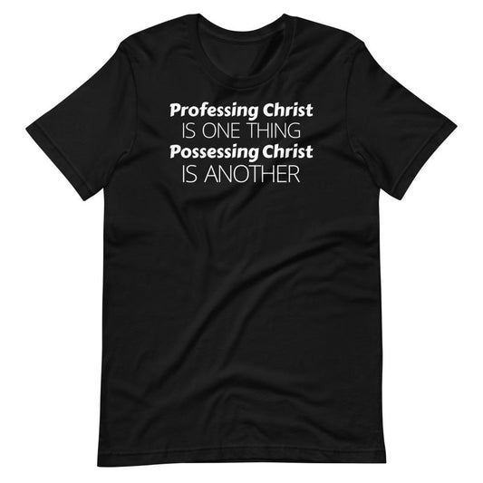 Profess or Possess Tee - Truthberry