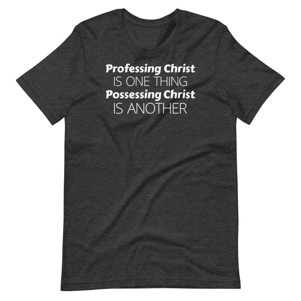 Profess or Possess Tee - Truthberry