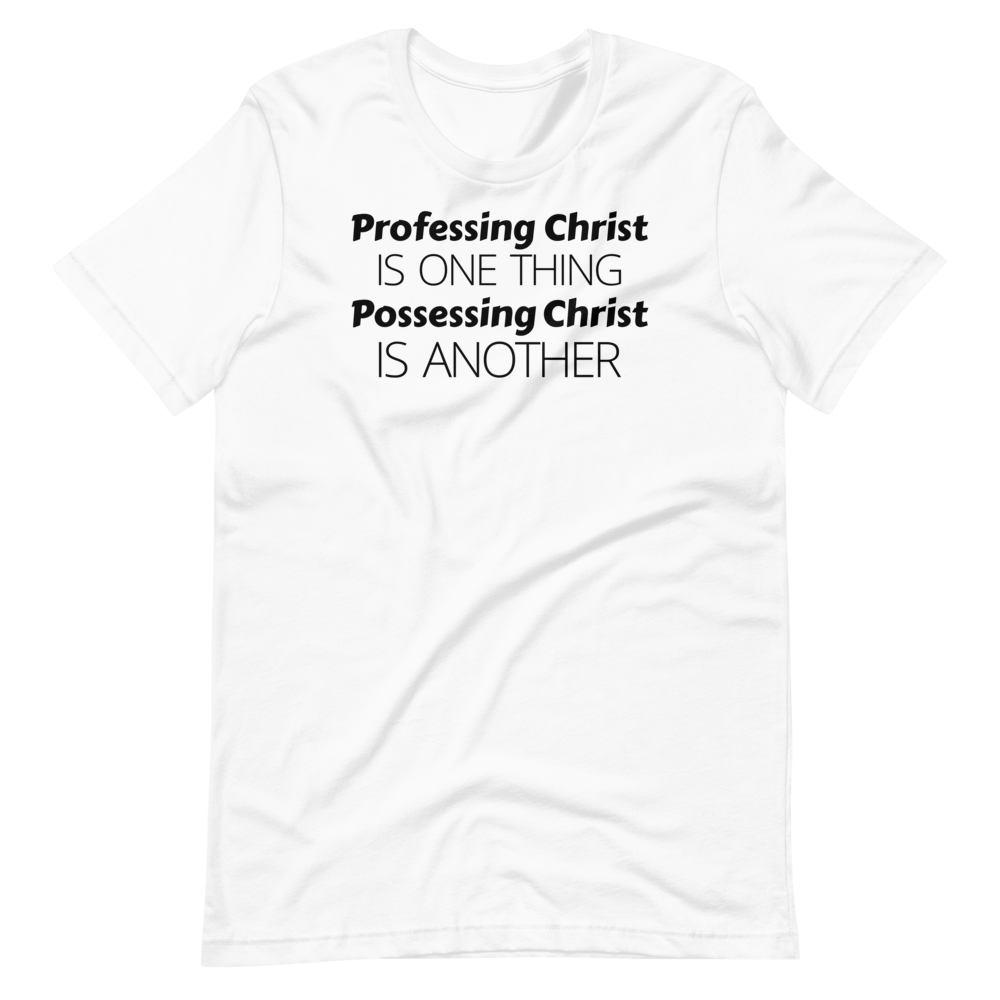 Profess or Possess Tee - Truthberry