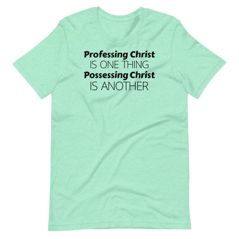 Profess or Possess Tee - Truthberry