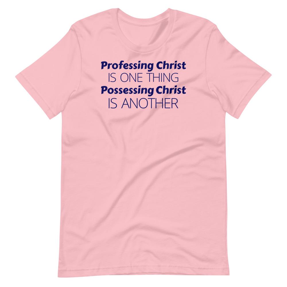 Profess or Possess Tee - Truthberry