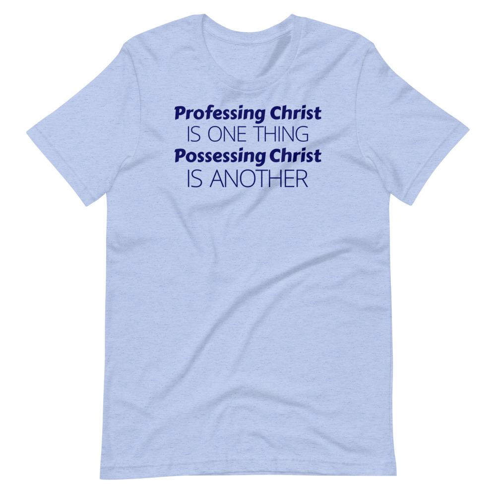 Profess or Possess Tee - Truthberry