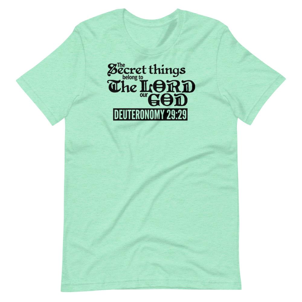 Secret Things Tee - Truthberry