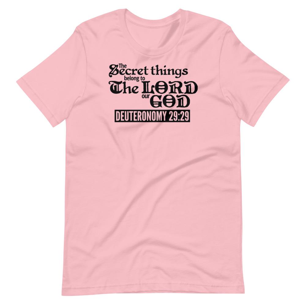 Secret Things Tee - Truthberry